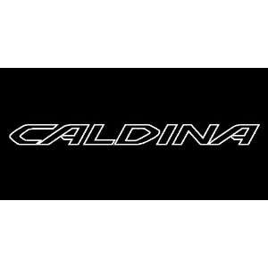  Toyota Caldina Outline Windshield Vinyl Banner Decal 36 
