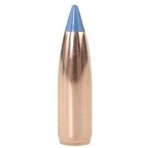  Nosler   25 Caliber