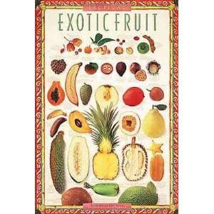 Tropical Exotic Fruit    Print 