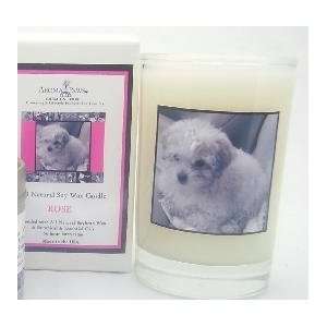   220   Breed Candle Glass Gift Box   Poodle   Rose   5 Oz
