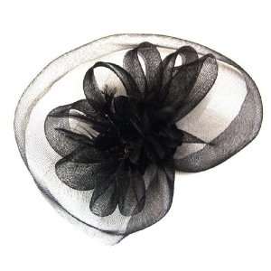  Fashion Elegant Feather & Bead Lace Rosette Flower Mesh 