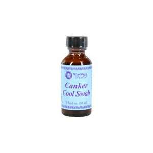  Canker Cool Swab   Relief of Painful Mouth Sores, 1 oz 