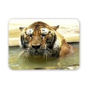  Moving tigers from the Born Free Sanctuary   Mouse Mat 
