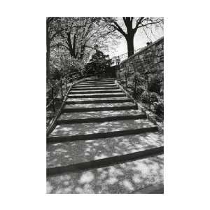 Stairs Up, Central Park, NYC by Bill Perlmutter . Art 