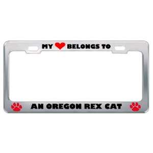 My Heart Belongs To An Oregon Rex Cat Animals Pets Metal License Plate 