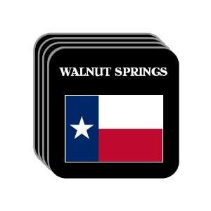  US State Flag   WALNUT SPRINGS, Texas (TX) Set of 4 Mini 