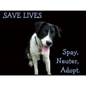  Spay Neuter Adopt   Rescue Stamps
