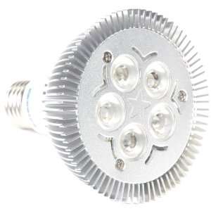  Avalon LED AA0041 9W LED PAR30 Replace 100W Halogen Light 