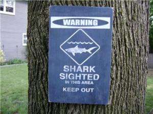 SHARK WARNING Wood painted BLUE Keep Out Sign  