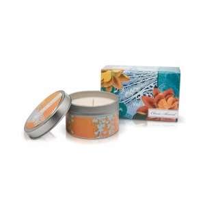   Candle Collection   Samora (Classic Almond)