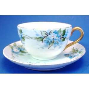  Saxony China Hand Painted Cup & Saucer Blue Floral 