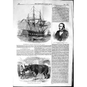   1853 QUEEN SLOOP SHIP RATTLESNAKE SEYMOUR OX UNCLE TOM