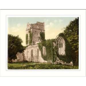  Muckross Abbey. Killarney. Co. Kerry Ireland, c. 1890s, (M 
