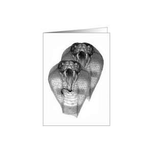  Cobras   pencil drawing snakes Card Health & Personal 