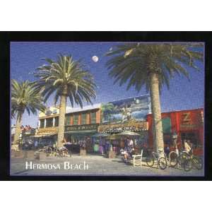  94 HERMOSA BEACH, CALIFORNIA POSTCARD   from Hibiscus 