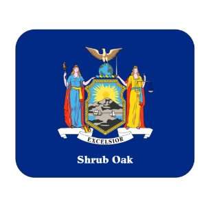  US State Flag   Shrub Oak, New York (NY) Mouse Pad 