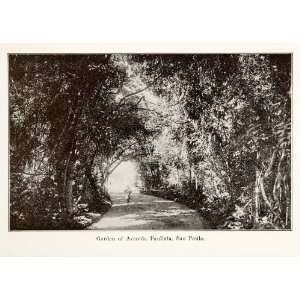  1924 Print South America Garden Avenida Paulista Woods 