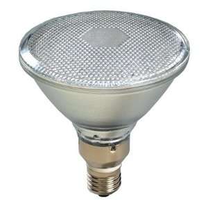  PAR38 LED Lamp   Warm WH