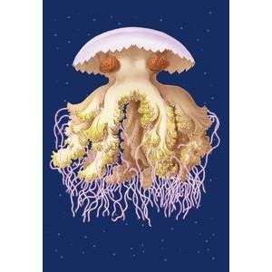  Paper poster printed on 20 x 30 stock. Astro Jellyfish 