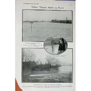  1907 Smithfield Show Cattle Heifer Thames River Flood 