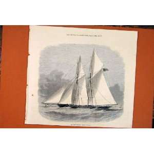 Livonia Yacht Schooner Sea Ship Boat Print 1871