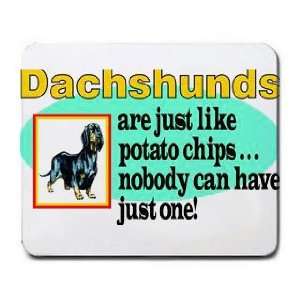  Dachshunds are Just Like potato Chips Nobody can have Just 