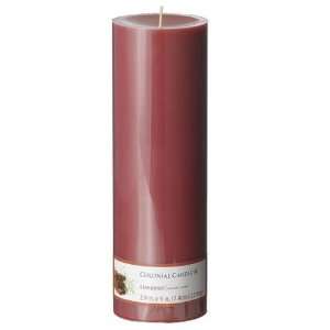    Colonial Candle Cinnamon 3 X 9 Scented Pillar