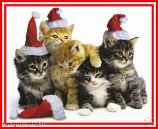 Cat, Kitten Magnets Collectible Christmas Gifts Kitty  