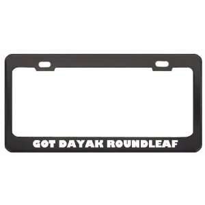 Got Dayak Roundleaf Bat? Animals Pets Black Metal License Plate Frame 