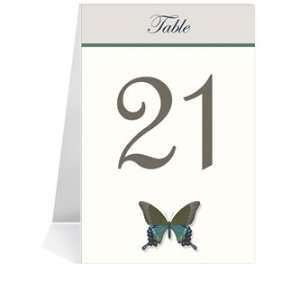   Number Cards   Butterfly Taupe Aqua Sky #1 Thru #46