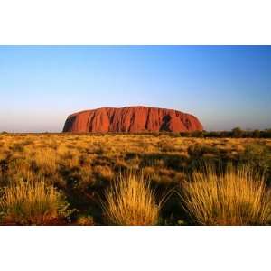  Uluru (Ayers Rock) with Desert Vegetation by John Banagan 