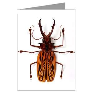  Macrodontia Bug Greeting Card set