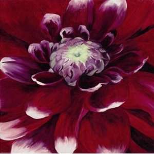  Bethany Winslow   Red Dahlia