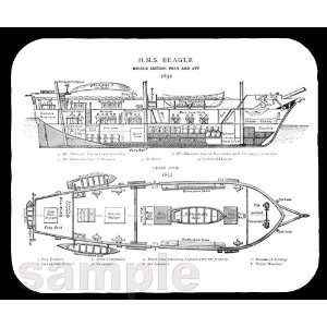  HMS Beagle Diagram Mouse Pad 