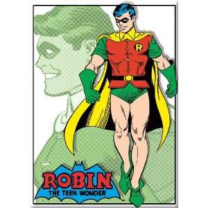  DC Comics Batman Robin The Teen Wonder Magnet 26162DC 
