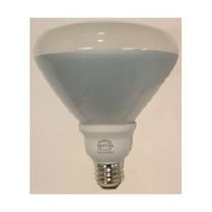    Neptun 19W R40 E27 2700K Dimming CFL   34019ADIM