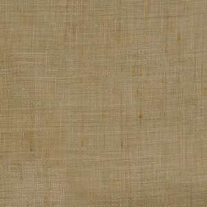  Fabricut Waddell Limestone 2988204