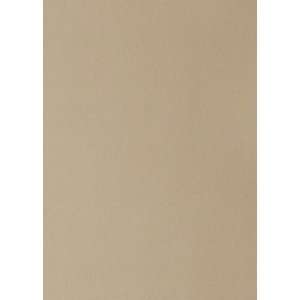  74937 Taupe by Greenhouse Design