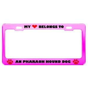  An Pharaoh Hound Dog Pet Pink Metal License Plate Frame 