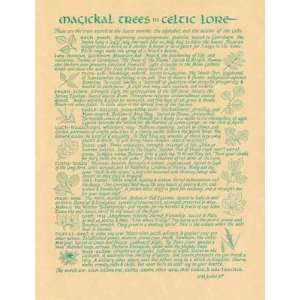  Magickal Trees in Celtic Lore   Parchement Poster 