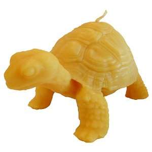  Jillie Turtle   Natural Beeswax Candle   Hand Poured 