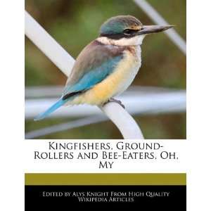  Kingfishers, Ground Rollers and Bee Eaters, Oh, My 