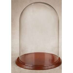 x5.5 Glass Dome Display with Wooden Walnut Base 
