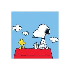  Peanuts Snoopy and Woodstock Charlie Brown TV Cartoon 