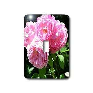   Pink Roses Flowers   Light Switch Covers   single toggle switch Home