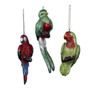 Kurt Adler 4.5 6 Animal Planet Resin Tropical Bird Ornaments with 