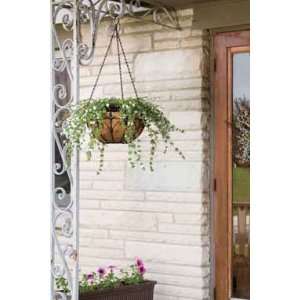  Pk/2 x 3 Living Accents Hanging Basket With Finails 