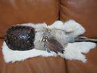Native American Indian Turtle Shell & Rabbit Fur Rattle