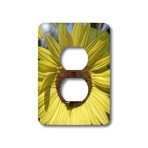   Macro Photography   Light Switch Covers   2 plug outlet cover Home
