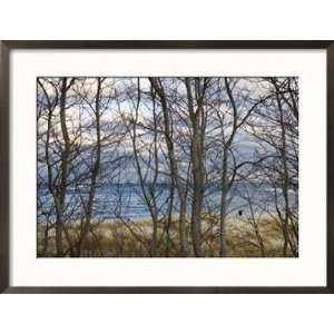  New England Massachusetts Beach Scene in Cape Cod, United 